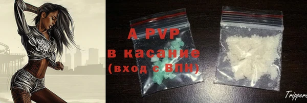 spice Арсеньев