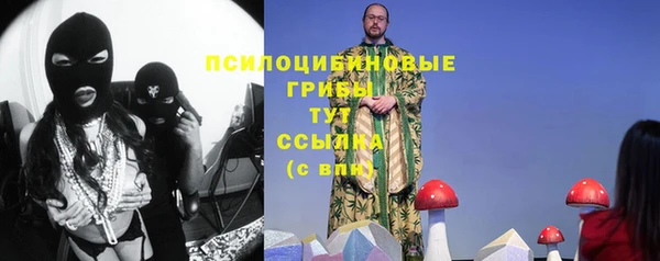 spice Арсеньев