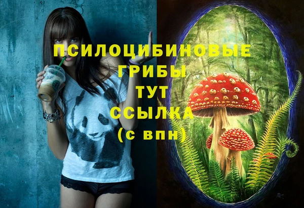 ГАЛЛЮЦИНОГЕННЫЕ ГРИБЫ Аркадак