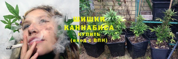 ГАЛЛЮЦИНОГЕННЫЕ ГРИБЫ Аркадак