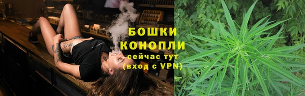 ГАЛЛЮЦИНОГЕННЫЕ ГРИБЫ Аркадак